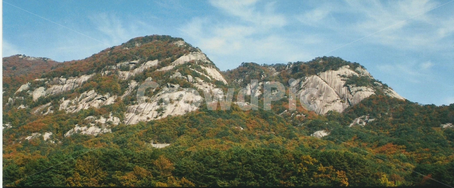 파노라마,자연풍경,한국자연경관,한국자연풍경,가을,단풍,감성,배경,식물,자연,가을,계절,fall,autumn,season,자연,풍경,nature,landscape,slope,경사,outdoors,옥외