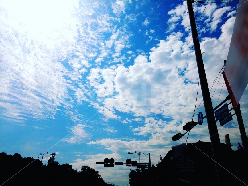 가을,autumn,하늘,sky,구름,cloud,fall,파랑,파란색,Blue,햇빛,시원함,바람,청량함,교통,교통수단,traffic,transportation,nature,자연,outdoors,옥외