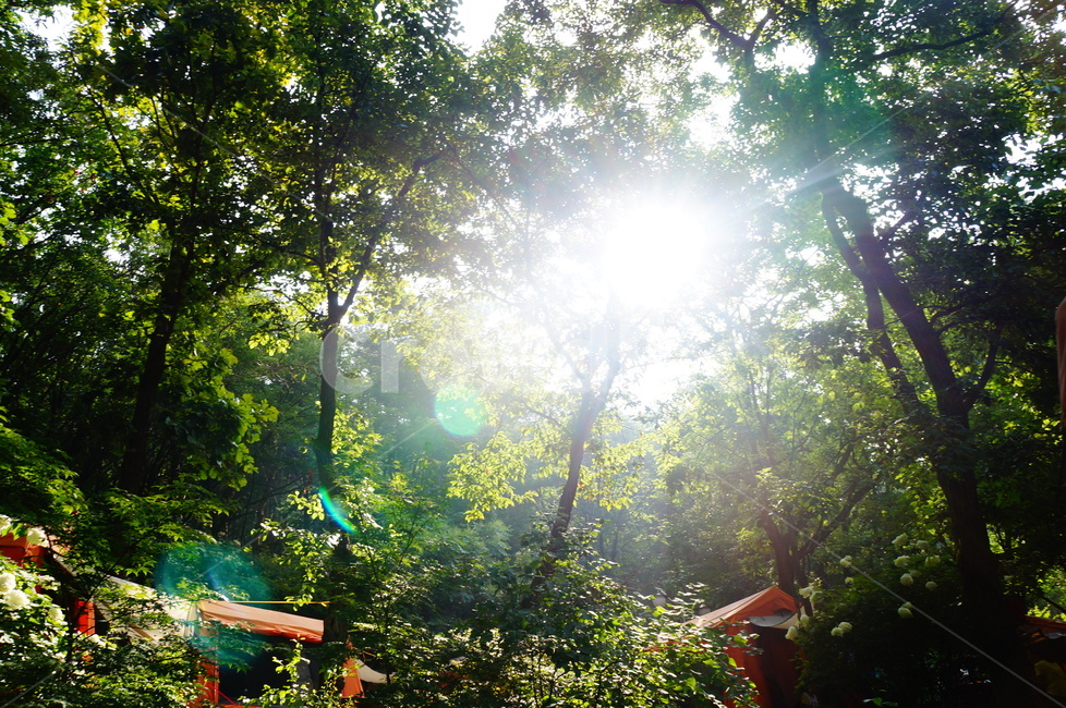 light,햇빛,빛,flare,플레어,sunlight,캠핑장,캠핑