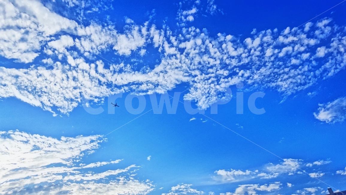 하늘,비행기,여행,항공,해외,자연,풍경,nature,landscape,sky,azure sky,푸른 하늘,outdoors,옥외