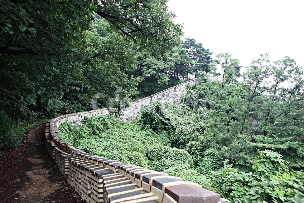 남한산성,성,성곽,길,둘레길,벽,숲길,숲,담,돌담,풍경,여름