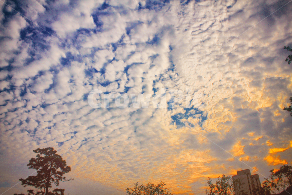 가을,하늘,구름,풍경,일몰,자연,fall,sky,cloud,autumn,nature,landscape,sunset,sunfall,자연,풍경,nature,landscape,outdoors,옥외