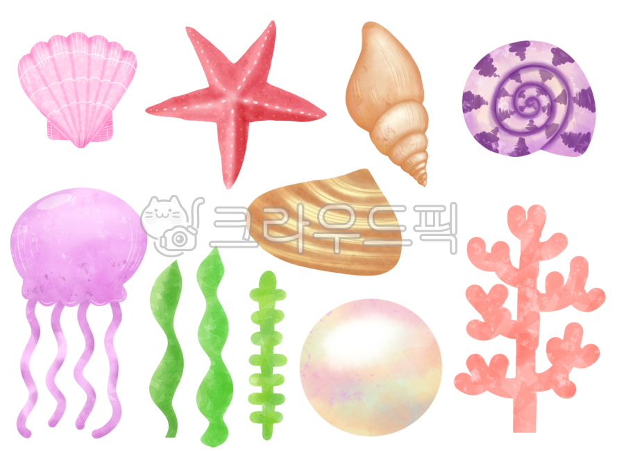 바다생물,바다생물일러스트,바다일러스트,조개,산호초,불가사리,해양생물,해파리,조개껍질,소라,산호,미역,해초,진주,여름,여름일러스트