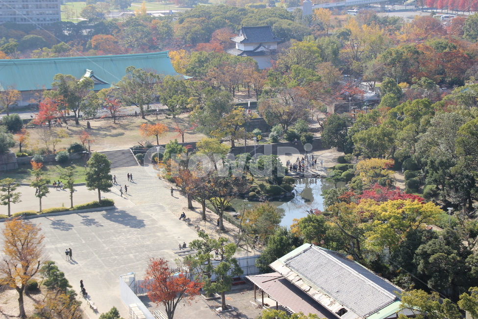 landscape,경치,nature,자연,outdoors,옥외,scenery,풍경,aerialview,조감도,가을,계절,fall,autumn,season