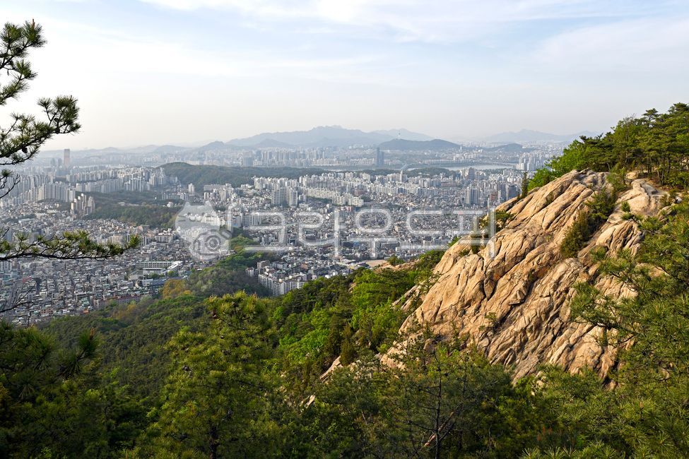 관악산,도심풍경,도시,서울도심풍경,자연,산,바위