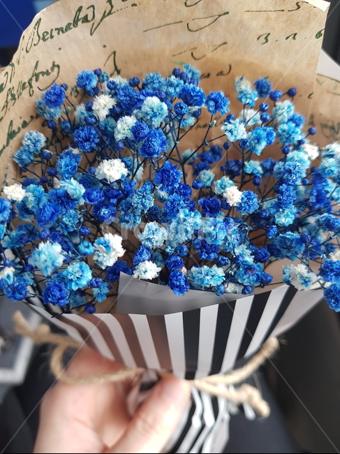 안개꽃,꽃다발,꽃,선물,파란꽃,꽃,flower,기념일,축하,anniversary,congratulation,celebrate,celebration