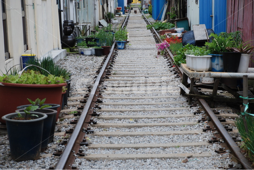 군산,기찻길,골목풍경,경암동,철길마을,골목길,alley