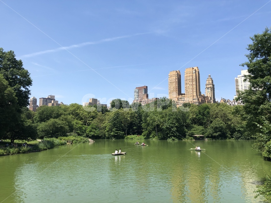 뉴욕,센트럴파크,도시,도심,배,자연,nature,city,빌딩,building,tree,나무,울창,공원,park