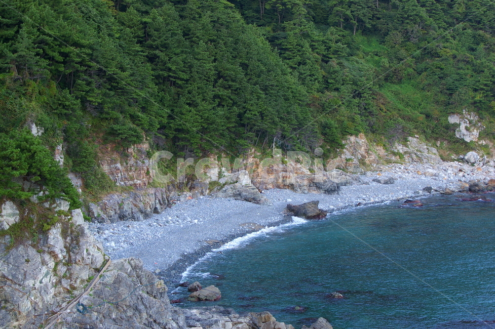 부산,태종대,풍경,자연,야외,해안,자연,풍경,nature,landscape