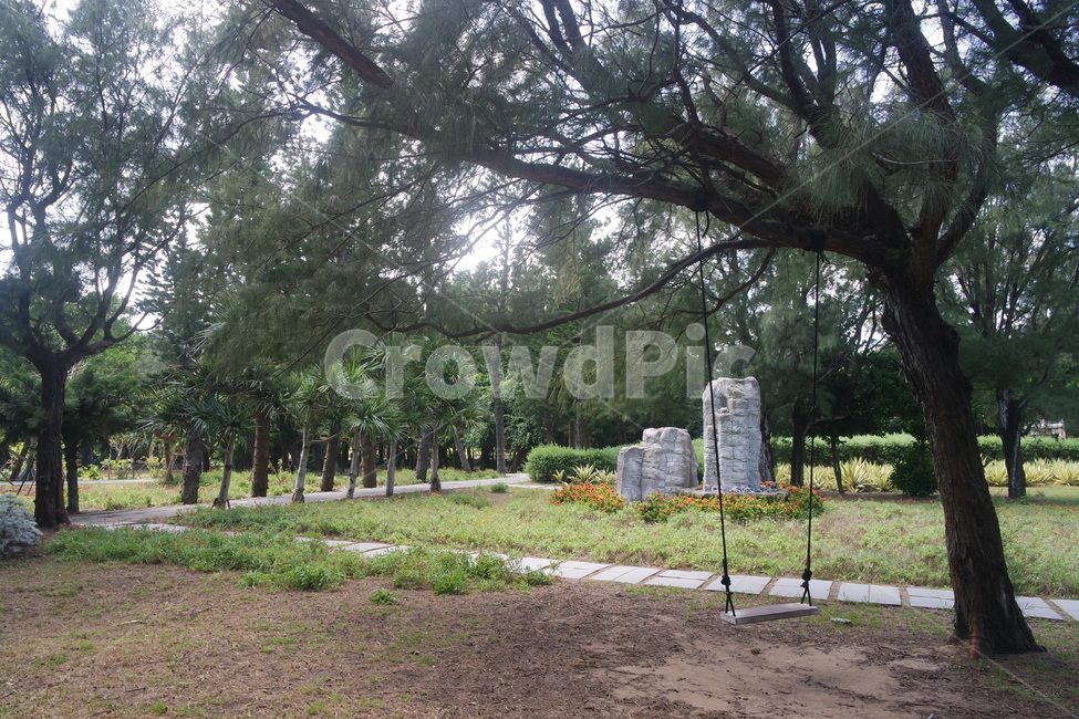 plant,식물,tree,나무,ground,공원,park,대만,타이완,taiwan,펑후,섬,island