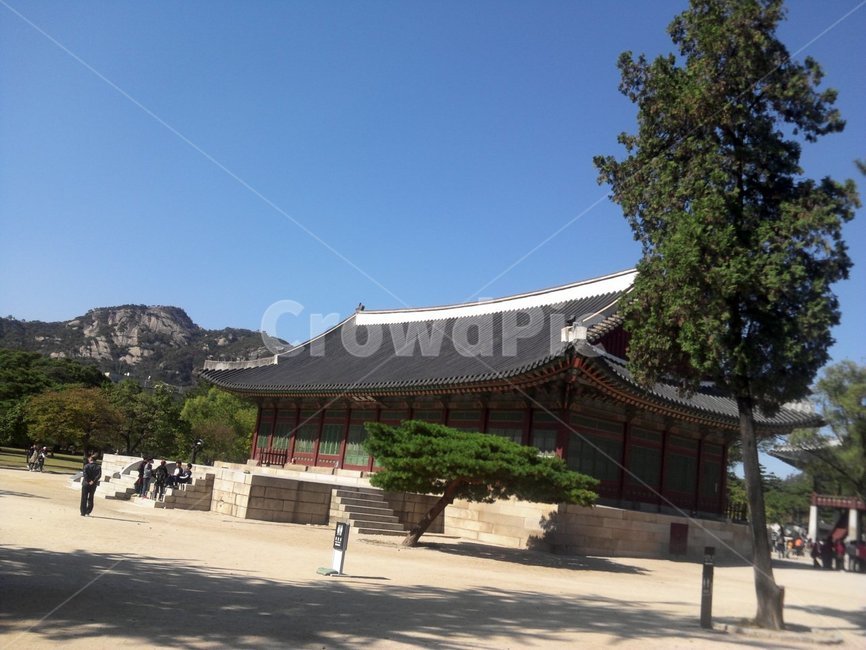 전통,궁궐,경복궁,전통건축,한옥