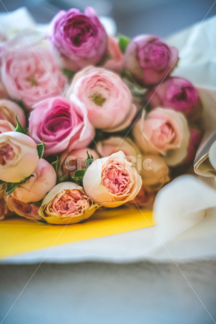 꽃,꽃다발,로즈데이,선물,rose,blossom,꽃,flower,기념일,축하,anniversary,congratulation,celebrate,celebration