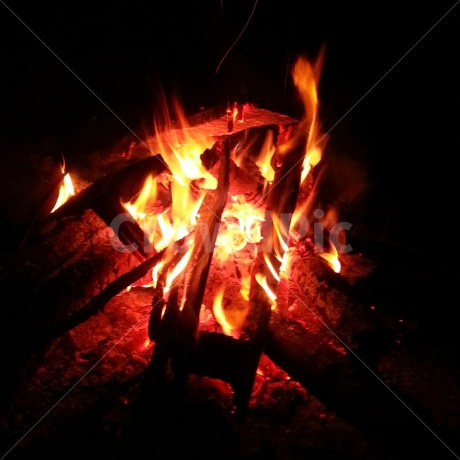 불,캠프파이어,fire,나무,모닥불