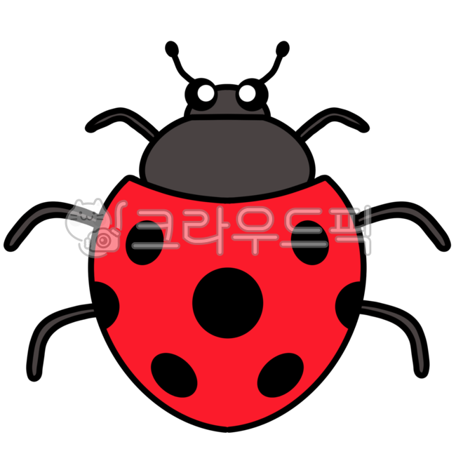 무당벌레,무당벌레일러스트,무당벌레도안,곤충,곤충일러스트,곤충도안