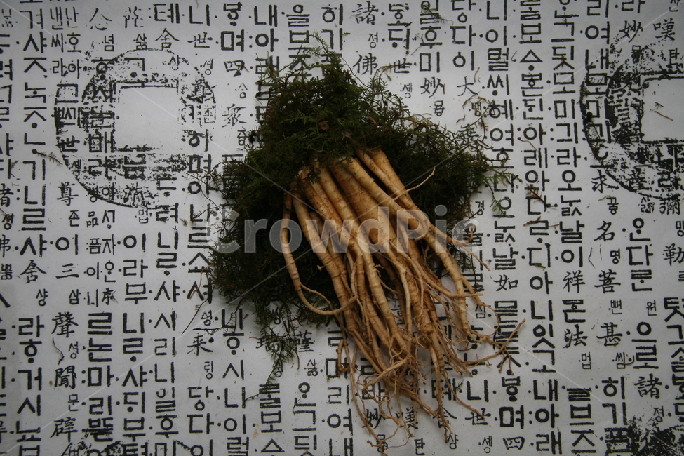 한약,보약,한약재,한의원,한방병원,한방,한의사,한의학,약재,약초,약용식물,허브,herb,천연,동의보감,허준,tonic,koreanmedicine,orientalmedical,koreantraditional,인삼,수삼,음식,식재료,요리,food,cook,meal,dishes,food reserves