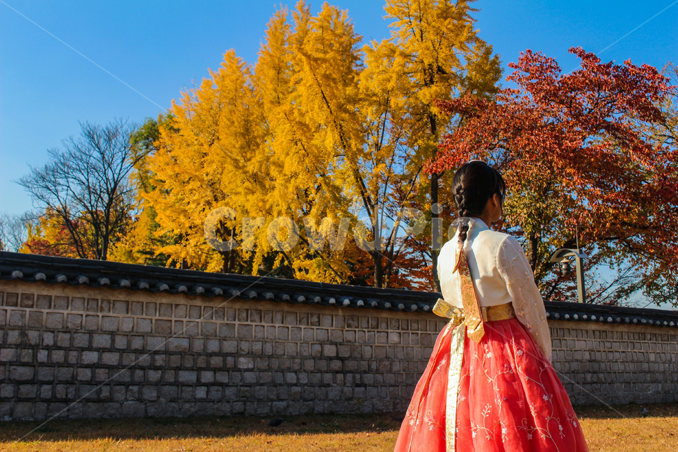 인물,경복궁,한복,가을,여자,한옥마을,여인,아가씨,담장,한옥,궁,palace,한국전통,한국문화,koreantraditional,koreanculture,한국전통의상,hanbok,korean,clothes,traditionalclothes,사람,뒷모습,나무,단풍,댕기머리,전통의상,woman,female,lady,빨간색,주황색,아름다운,한국전통,한국문화,korean traditional,korean culture,사람,인물,인간,human,person,여성,여자,woman,female,lady