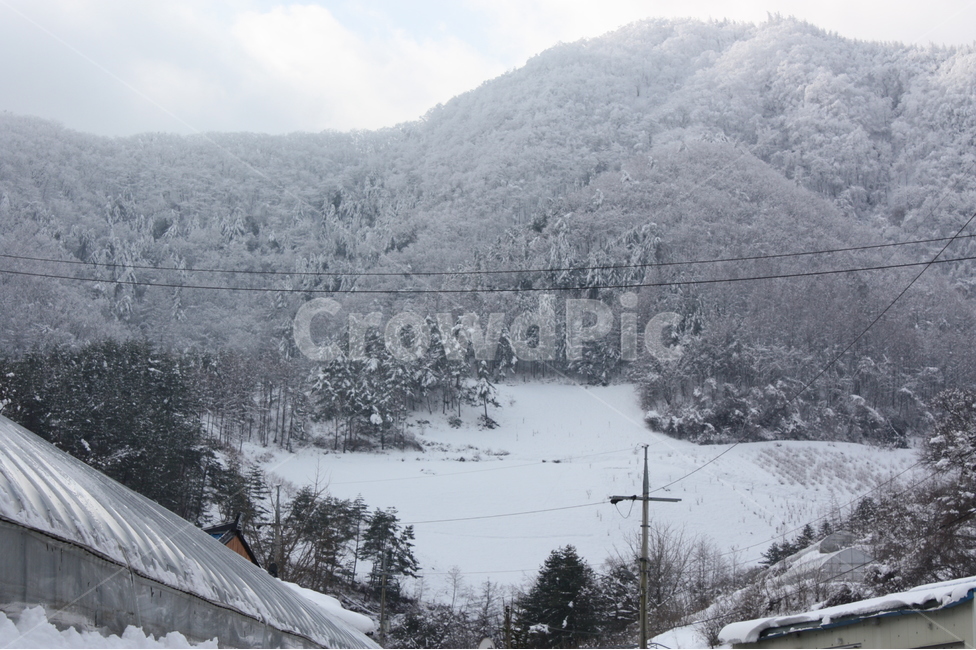 설산,눈,하늘,나무,겨울,풍경,겨울,계절,winter,season,자연,풍경,nature,landscape,한국자연풍경,한국자연경관,korea nature landscape,outdoors,옥외