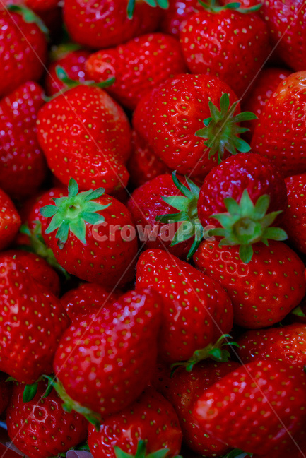 딸기,food,음식,fruit,과일,strawberry,plant,식물,음식,식재료,요리,food,cook,meal,dishes,food reserves,과일,열매,fruit