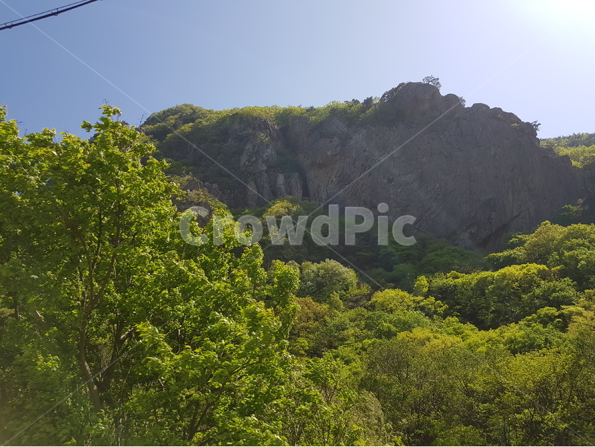 풍경,산,초록,나무,자연,자연,풍경,nature,landscape,outdoors,옥외