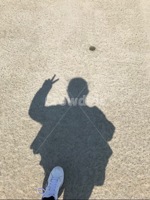 그림자,shadow,사람,human,햇빛