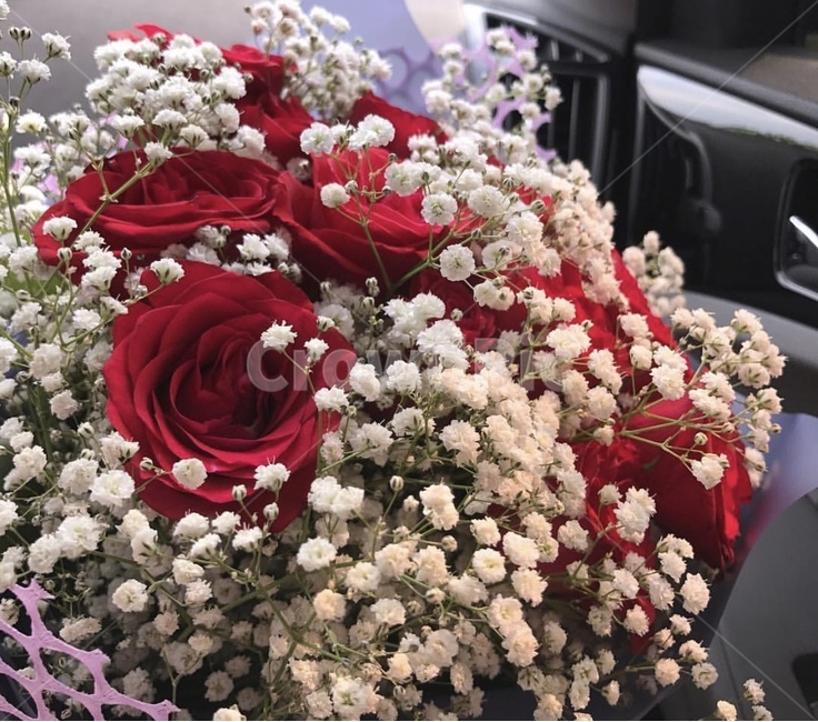 꽃,꽃다발,차안,플라워,꽃바구니,생화,식물,자연,plants,nature,꽃,flower,연인,커플,사랑,lover,couple,기념일,축하,anniversary,congratulation,celebrate,celebration