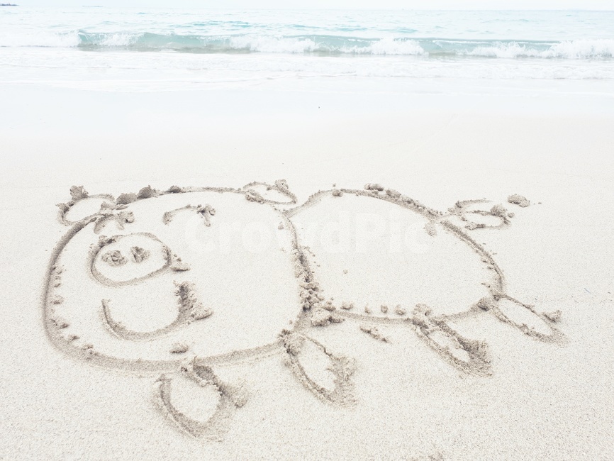 새해인사,happynewyear,해변낙서,2019년새해인사,돼지의해,기해년인사,2019년인사,바닷가낙서,돼지,모래글씨,해변글씨,해변,바다,beach,sea