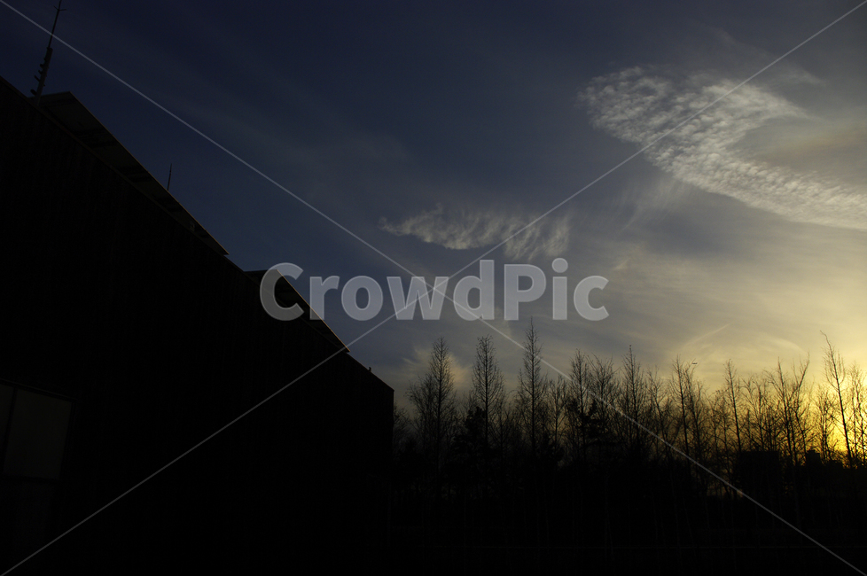 하늘,구름,노을,일몰,sunset,나무,자연,풍경,nature,landscape,outdoors,옥외