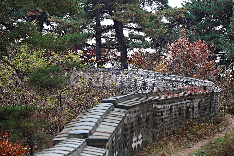 남한산성,성,성곽,단풍,낙엽,길,둘레길,숲,숲길,담,돌담,가을,자연,풍경,벽,울긋불긋,산성,식물,가을,계절,fall,autumn,season