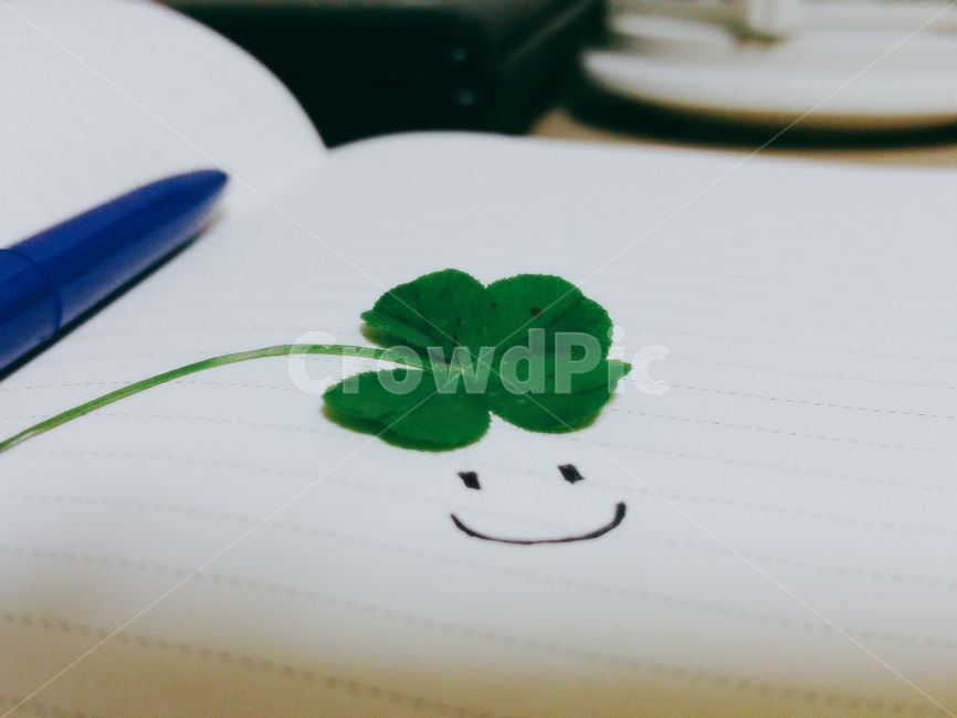 노트,네잎클로버,클로버,필기,메모,낙서,그림,행운,lucky,clover,note,writing,plant