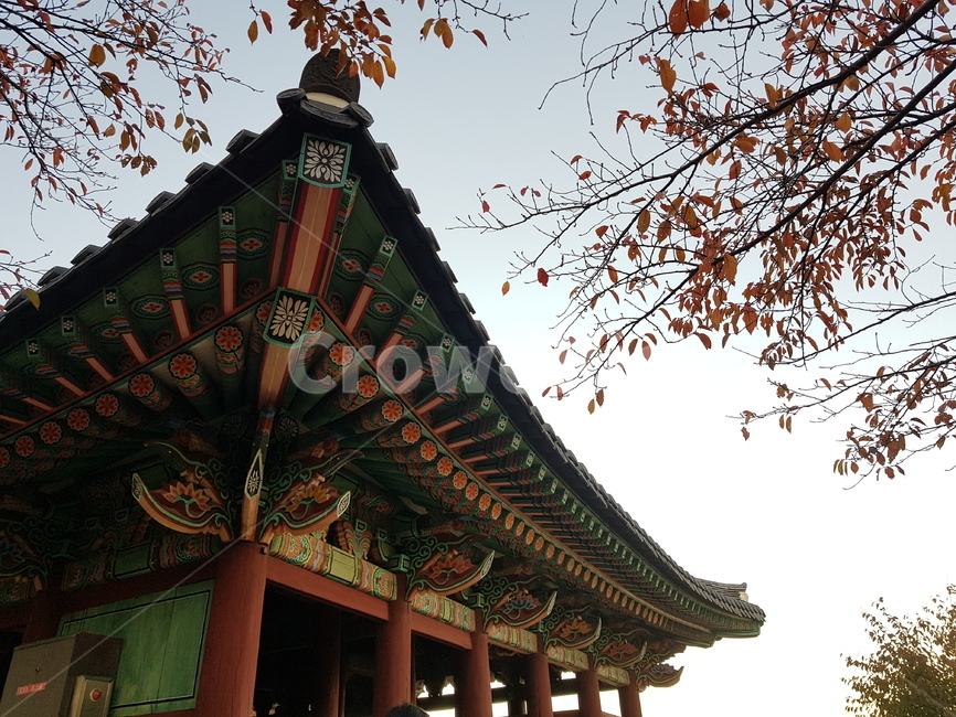 풍경,한옥,가을,한국,경포대,한국전통,한국문화,korean traditional,korean culture,건축물,건물외관,exterior,building,structure,architecture,construction