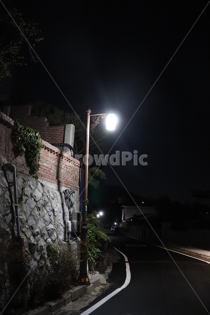 가로등,골목길,불빛,외로움,어둠,야경,밤,풍경,nightscape,night,landscape,path,통로,walkway,보도
