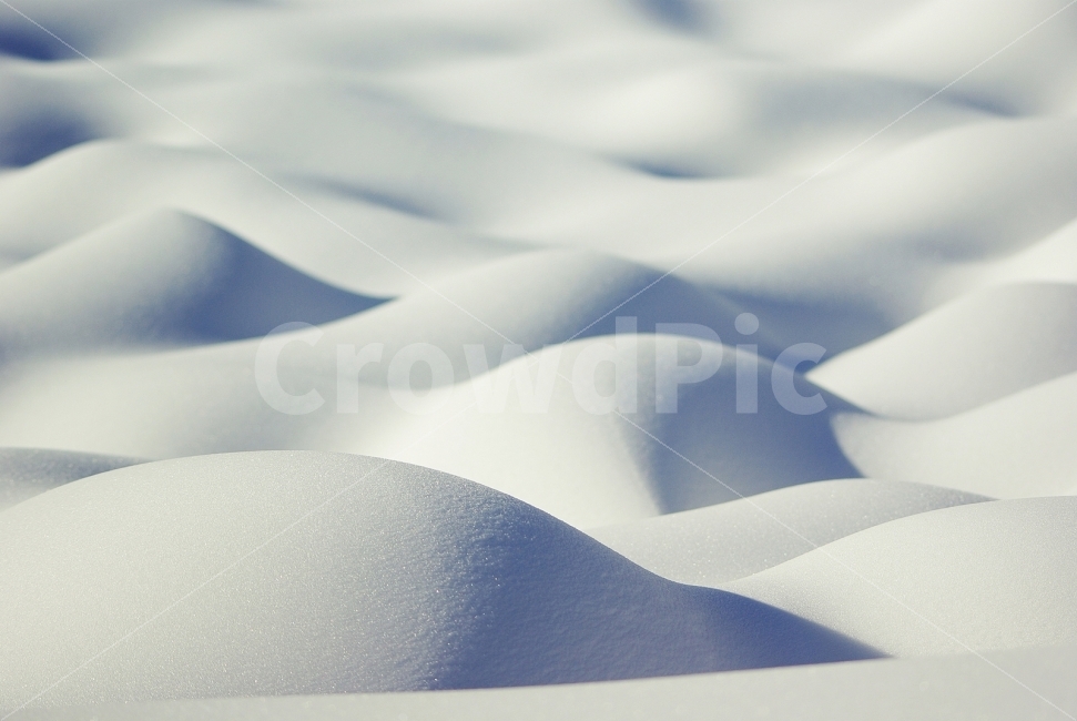 겨울,눈,12월,설경,1월,라인,곡선,겨울,계절,winter,season,텍스처,질감,패턴,texture,pattern