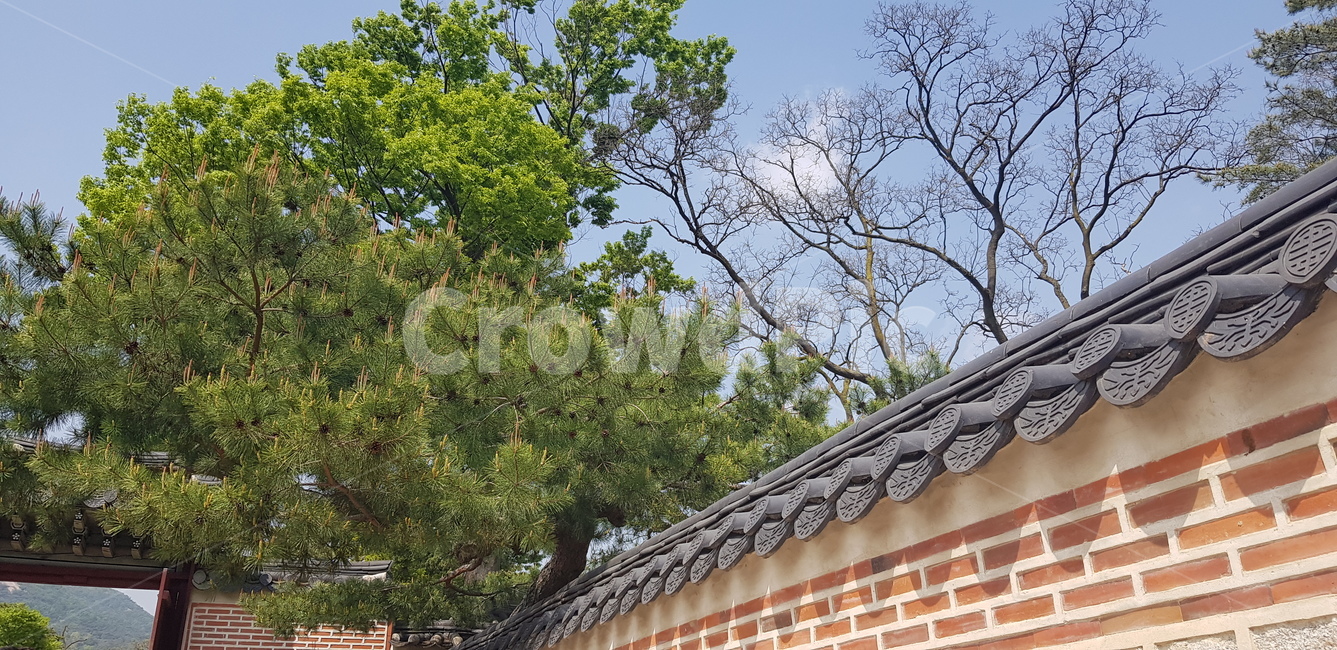 전통,한국전통,전통무늬,벽,담,전통담,한옥,하늘,한국전통,한국문화,korean traditional,korean culture