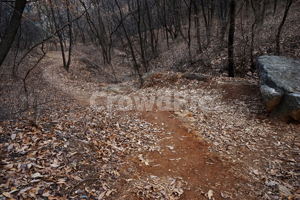 겨울산행,계절,잎,마른잎,길,흙,바위,나무,자연,풍경,nature,landscape,ground,바닥,gravel,자갈,road,도로,dirt road,흙길