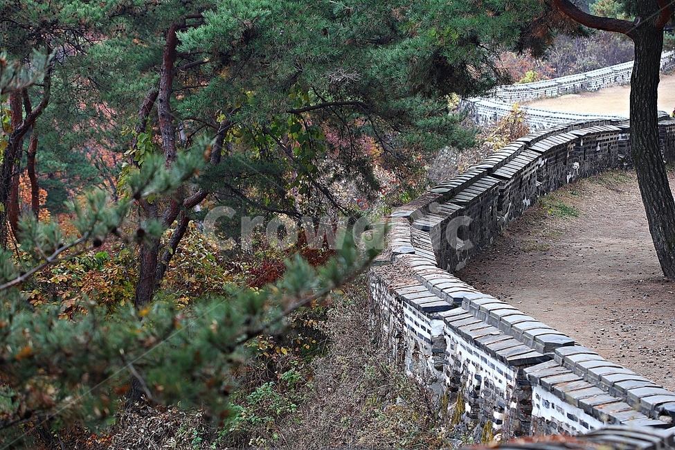 남한산성,성,성곽,단풍,낙엽,길,둘레길,숲,숲길,담,돌담,가을,자연,풍경,벽,울긋불긋,산성,식물,가을,계절,fall,autumn,season