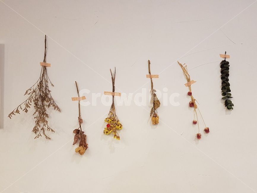 드라이플라워,flower,dryflower,장식,감성,빈티지,인테리어,꽃,flower