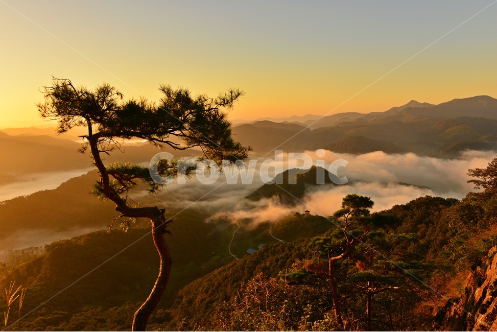 nature,자연,outdoors,임실,국사봉,운해,국사봉일출,아침,여명,해돋이,경치,경관,풍경,옥외,mountain,산,mountainrange,산맥,dawn,새벽,sky,하늘,redsky,붉은하늘,소나무,flare,플레어,light,빛,자연,풍경,nature,landscape,한국자연풍경,한국자연경관,korea nature landscape