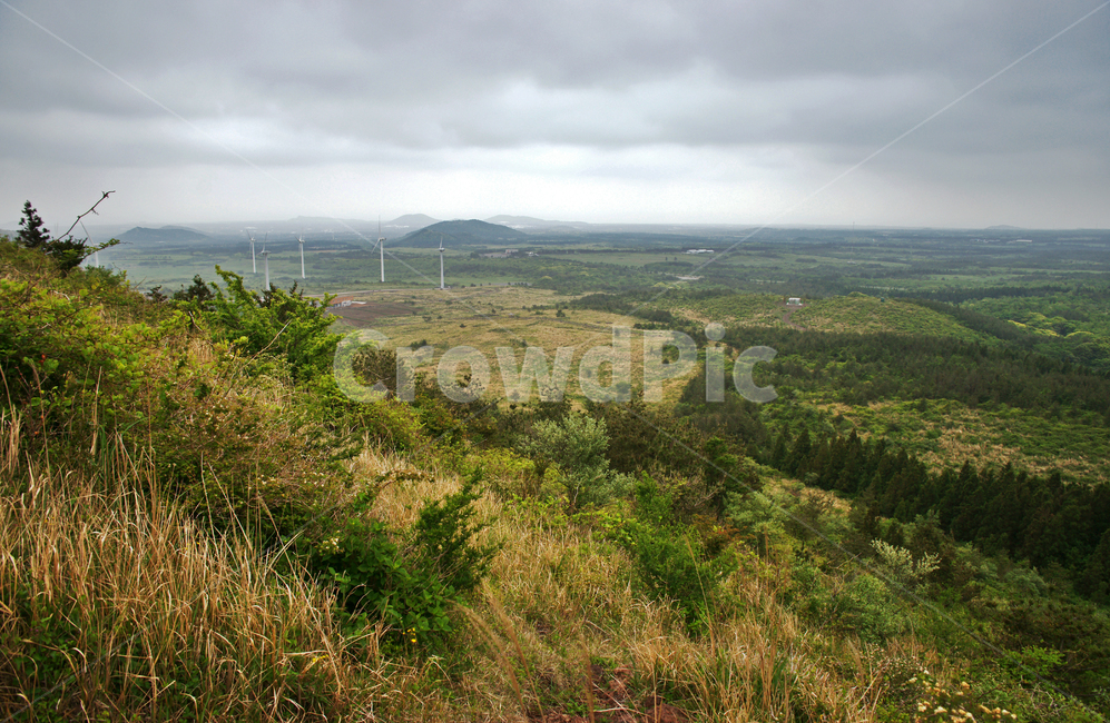 갑마장길,제주도,표선면,가시리,트레일,대록산,자연,풍경,nature,landscape,제주도,jeju,jeju island