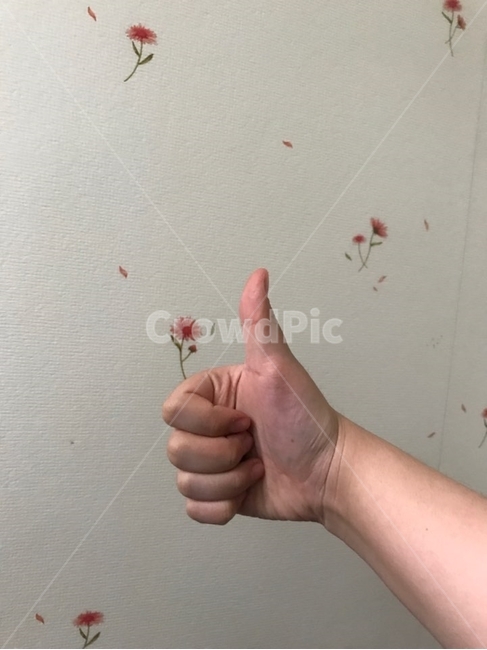 엄지,최고,따봉,손가락,엄지손가락