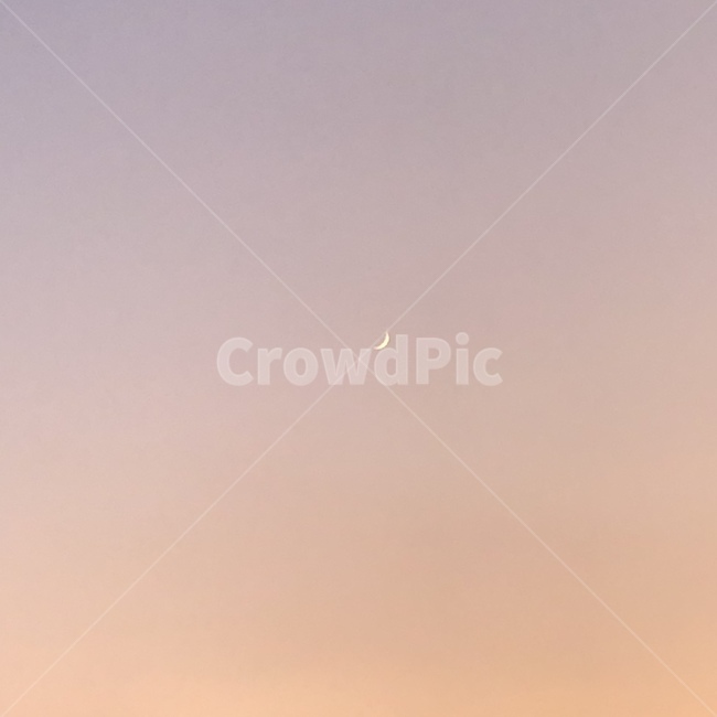 nature,자연,outdoors,옥외,moon,달,초승달,하늘,sky,pink