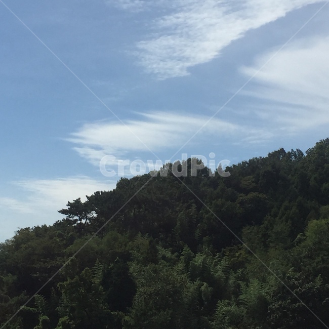 하늘,파란하늘,숲,산,구름,맑은하늘,하늘색,자연,풍경,nature,landscape,tree,나무,plant,식물,outdoors,옥외