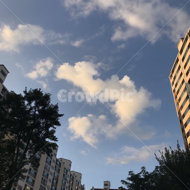 building,city,하늘,구름,노을