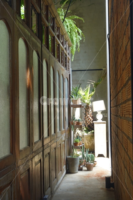 따뜻함,햇살,corridor,복도,초록,green,초록색,벽돌,나무,목재,목재가구,빈티지,vintage,화분,plant,plants,greenery,그리너리,치앙마이,chiangmai,버려짐,warm,햇빛,sunbeam,sunlight,sunshine