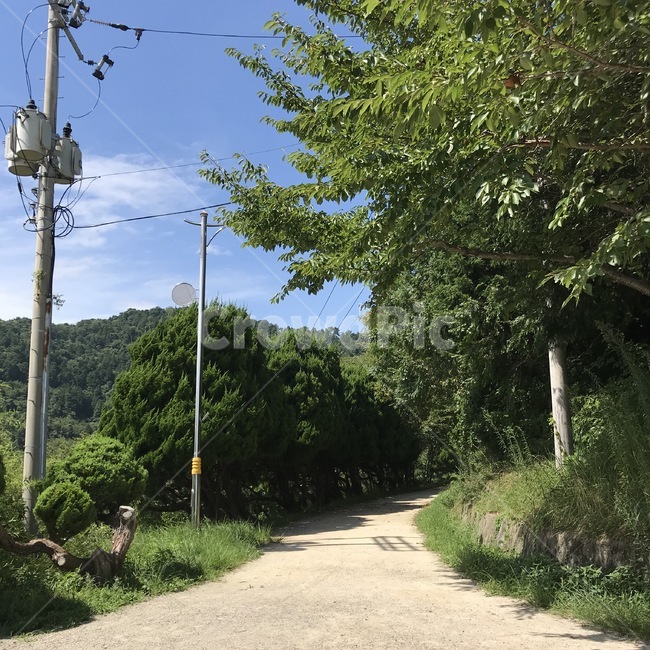 푸른하늘,시골,산,산책길,산책,푸른색,자연,감성,nature,여름,자연,풍경,nature,landscape