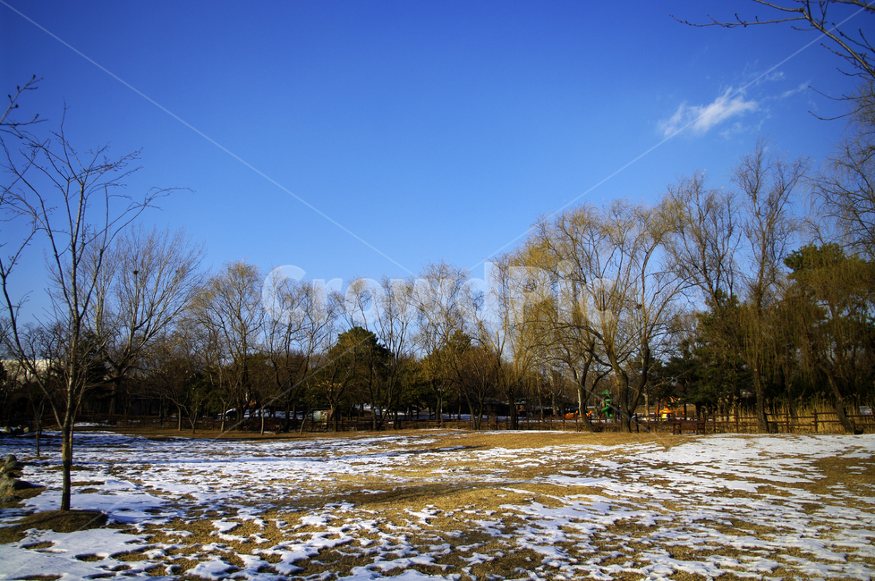 겨울,winter,풍경,설경,눈,나무,식물,plant,하늘,겨울,계절,winter,season,자연,풍경,nature,landscape,outdoors,옥외,water,물,land,땅