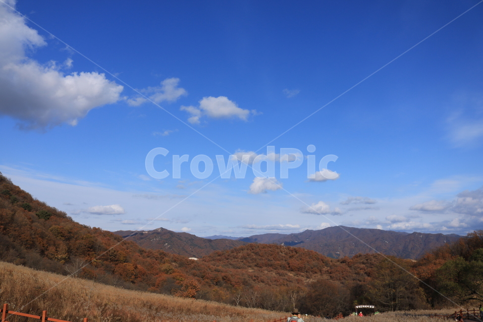 자연풍경,한국자연풍경,한국자연경관,nature,자연,outdoors,옥외,하늘,가을,계절,가을,계절,fall,autumn,season,자연,풍경,nature,landscape
