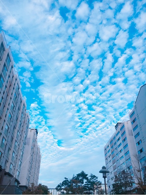 building,town,도시,urban,어반,city,시티,highrise,고층건물,하늘,sky,가을,가을하늘,구름