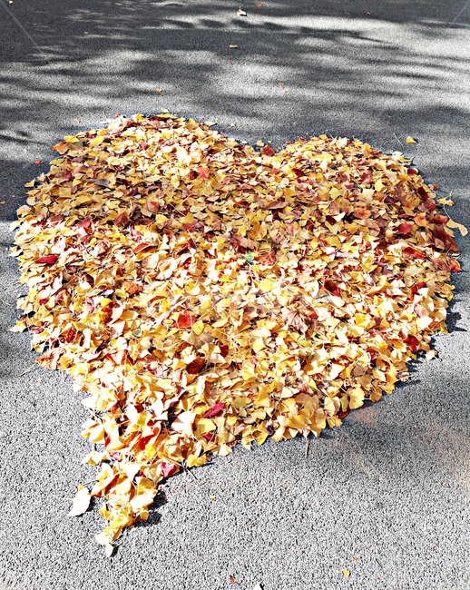 낙엽,가을,나뭇잎,하트,사랑,심장,단풍,단풍잎,fallen,leaves,maple,heart,love,로맨틱,romantic,가을,계절,fall,autumn,season,plant,식물