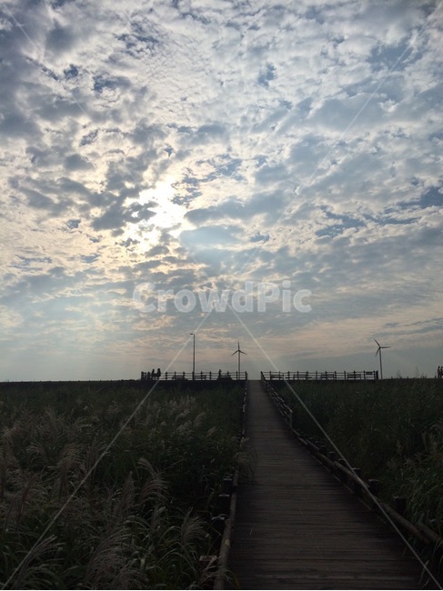 구름,갈대,억새,하늘,데크,풀,풀밭,바람개비