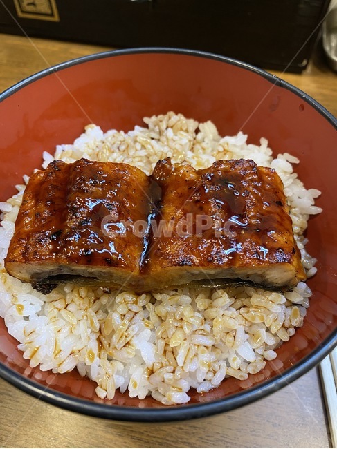 음식,장어덮밥,장어,food,일본,음식,식재료,요리,food,cook,meal,dishes,food reserves